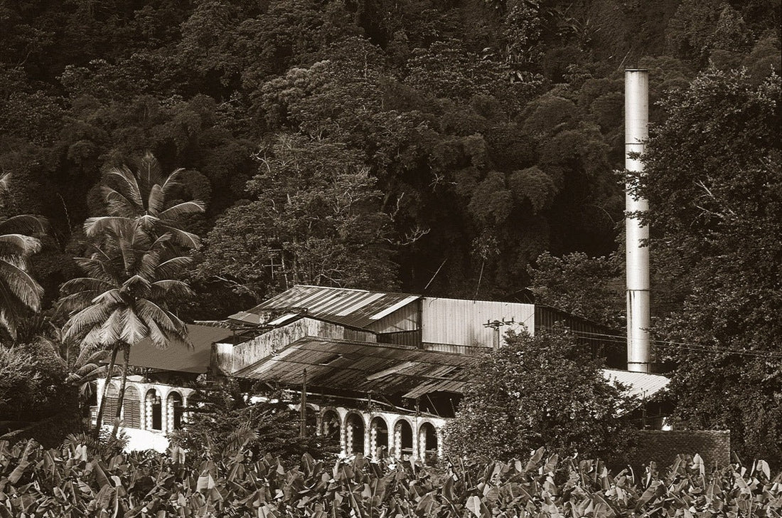 Habitation Saint-Étienne: Martinique Rhum Agricole With Style