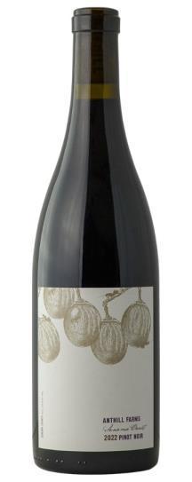 Anthill Farms Pinot Noir Anderson Valley 2021