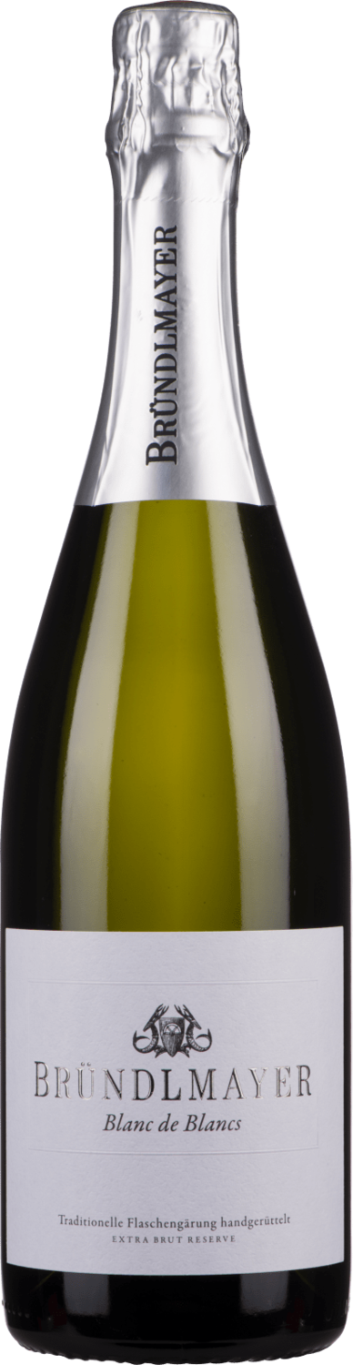 Brundlmayer Blanc De Blancs Extra Brut Reserve NV
