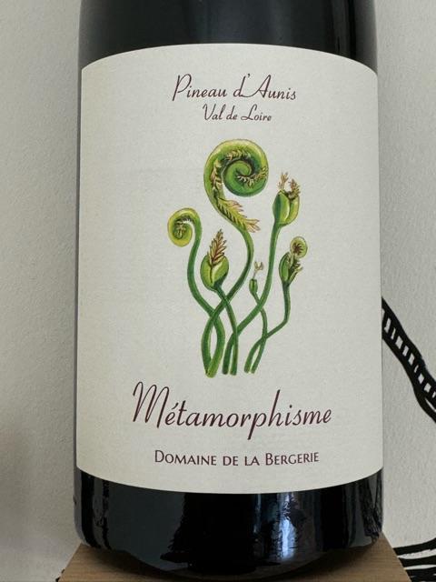 Domaine de la Bergerie Pineau d'Aunis Val de Loire Metamorphisme 2024